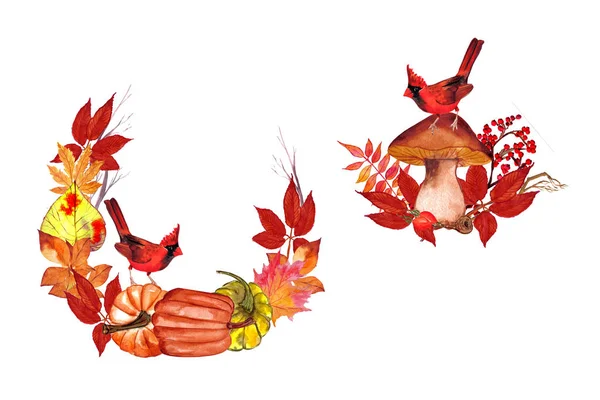 Καρδινάλιος Κόκκινο Πουλί Μανιτάρι Φθινοπωρινά Φύλλα Σύνθεση Λευκό Φόντο Για — Φωτογραφία Αρχείου