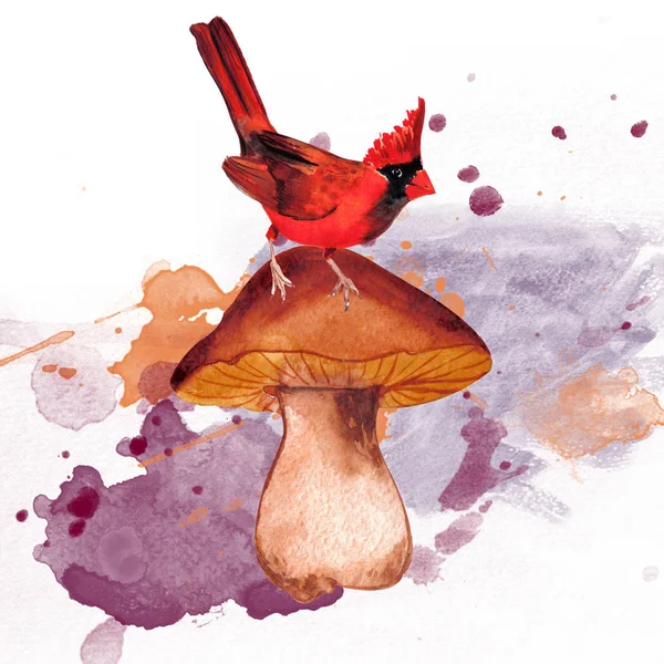 Cardinal Red Bird Mushroom Autumn Leaves Composition White Background Decoration — 스톡 사진