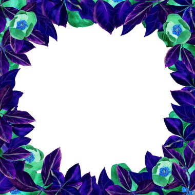 Kırmızı Şakayık