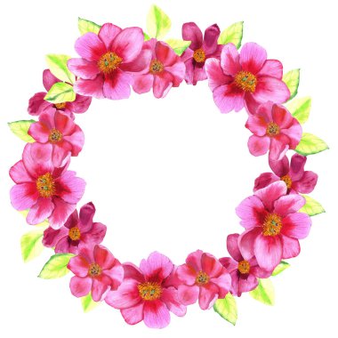 Kırmızı Şakayık