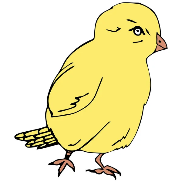 Τσικ Απρόσκοπτη Άνοιξη Πάσχα Μοτίβο Φόντου Χαριτωμένο Μικρά Κοτόπουλα Κίτρινο — Διανυσματικό Αρχείο