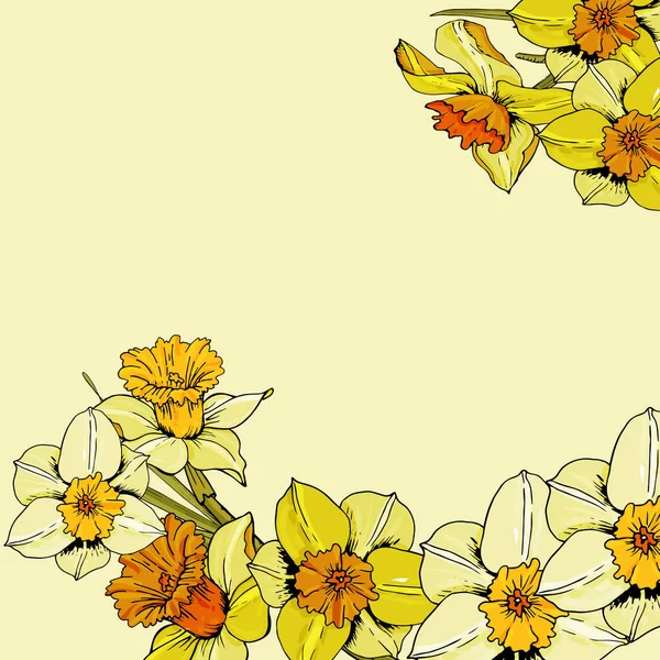Elegan bunga latar belakang dengan bunga taman daffodil, halus - Stok Vektor