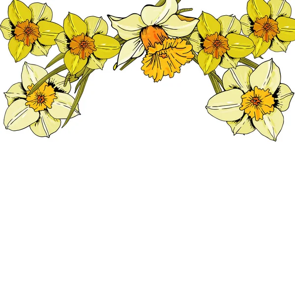 Elegante florale Hintergründe mit Narzissen Garten Blume, zarte — Stockvektor