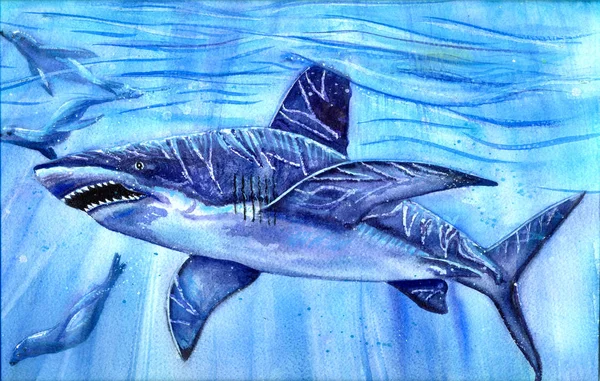 Le grand requin blanc attaquant avec une bouche grognante peinte par — Photo