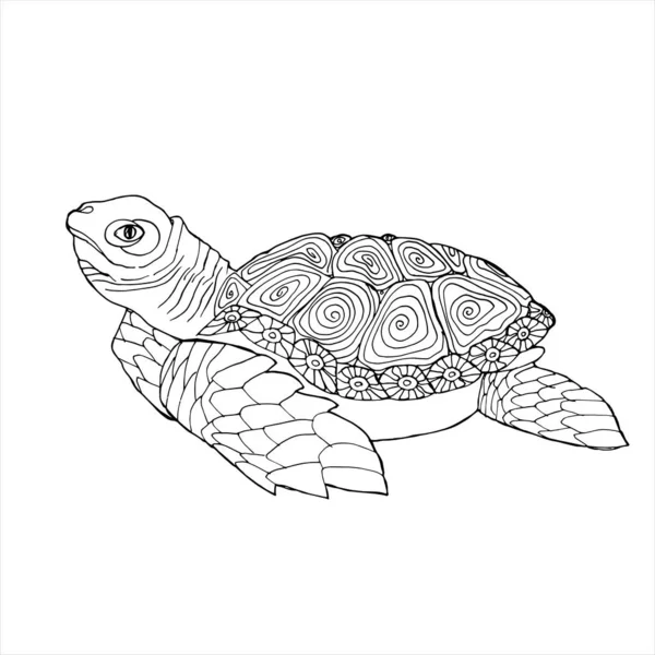 Deniz Kaplumbağası Boyama Kitabı Çocuklar Yetişkinler Için Boyama Kitabı Şablonları — Stok Vektör