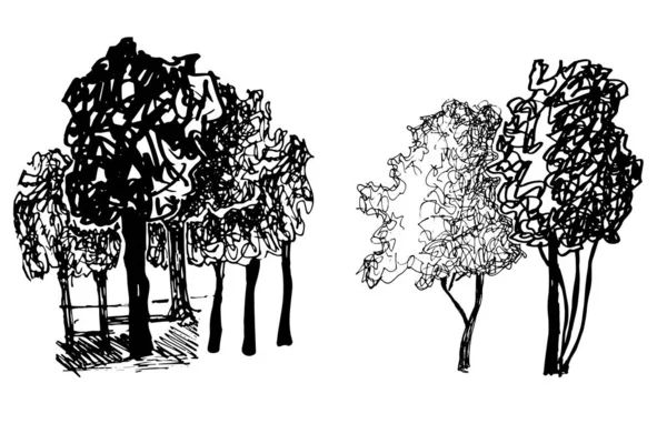 Silhouettes d'arbres, cultures de jardin, parc, vecteur noir et blanc — Image vectorielle