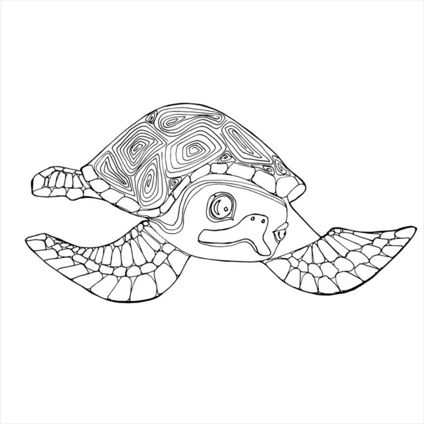 Sea Turtle Teckningar för färgläggning. Hand teckning Teckningar för barn uppkopplad — Stock vektor