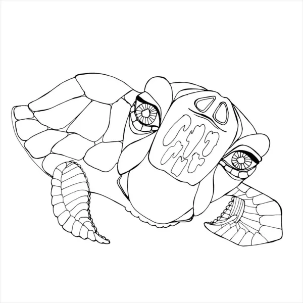 Sea Turtle Teckningar För Färgläggning Hand Teckning Teckningar För Barn — Stock vektor