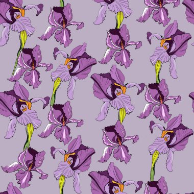 Mor zambaklı kusursuz desen. Vektör illüstrasyonu C