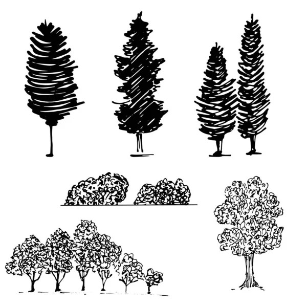 Silhuetas de árvores, culturas de jardim, parque, vetor preto e branco — Vetor de Stock