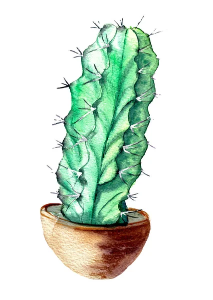 Disegno ad acquerello di un cactus. Succulente in vaso negli Scandi — Foto Stock