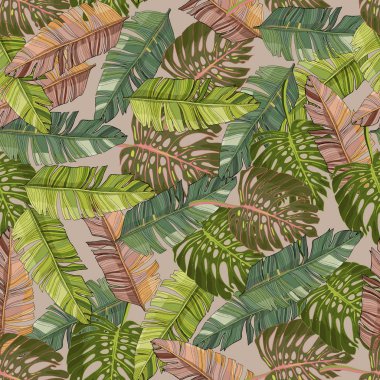 Tropik palmiye yaprakları ve canavar, orman yaprağı taşıyıcısı, dikişsiz çiçek desenli arka plan. Duvar kağıdı, kumaş ve dekorasyonun klasik botanik çizimi