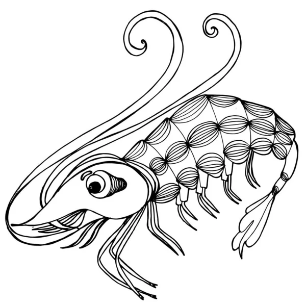 Розмальовка Морські креветки. Ручний малюнок розмальовки для дітей і дорослих . — стоковий вектор