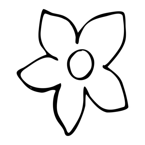 Barevný Černobílý Vzor Pro Zbarvení Daisy Květinová Ilustrace Omalovánky Pro — Stockový vektor