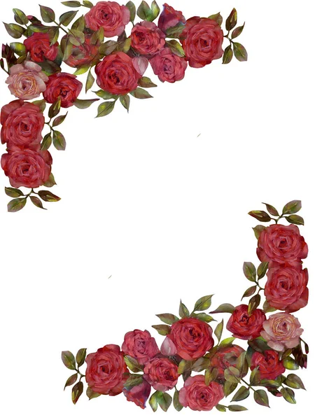Цветочная Рамка Масло Розовых Цветов Роз Раскрашенная Вручную Иллюстрация Изолированный — стоковое фото