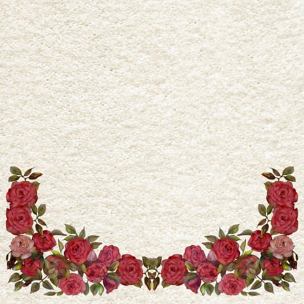 Cornice Floreale Olio Rose Rosa Fiori Illustrazione Dipinta Mano Isolato — Foto Stock