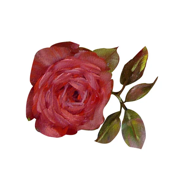 Fiore Rosa Rossa Pittura Olio Illustrazione Fiori Boccioli Foglie Verdi — Foto Stock