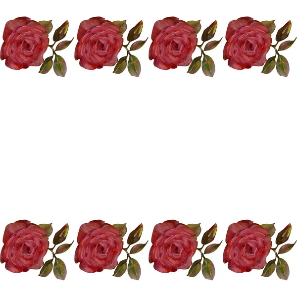 Cornice Floreale Olio Rose Rosa Fiori Illustrazione Dipinta Mano Isolato — Foto Stock