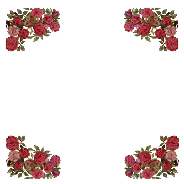 Cornice Floreale Olio Rose Rosa Fiori Illustrazione Dipinta Mano Isolato — Foto Stock