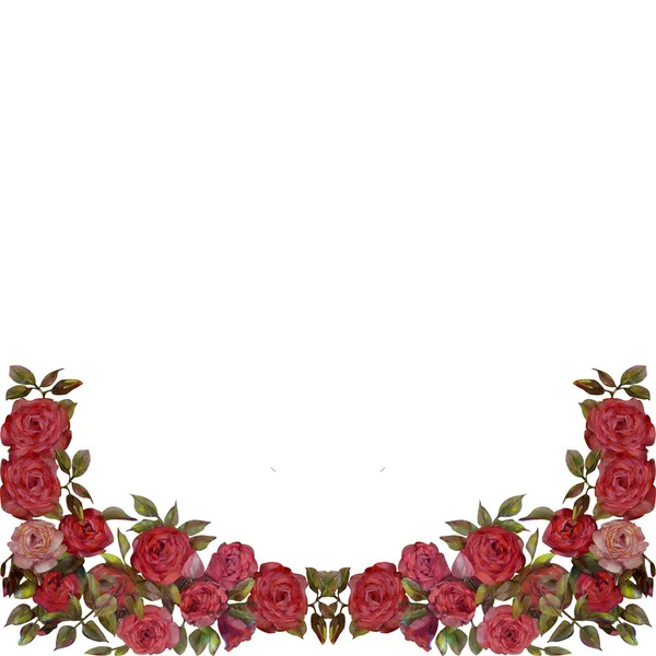 Cornice Floreale Olio Rose Rosa Fiori Illustrazione Dipinta Mano Isolato — Foto Stock