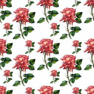 Yağ çizimi. Farklı kırmızı çiçeklerin kusursuz deseni gül ve beyaz arka planda güller bırakır. Tekstil, ambalaj kağıdı, ambalaj kağıdı, masa örtüsü, bez, perde, duvar kağıdı yaratmak için.