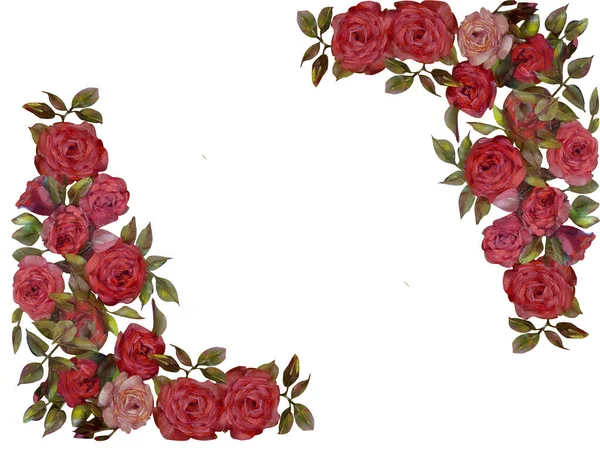 Cornice Floreale Olio Rose Rosa Fiori Illustrazione Dipinta Mano Isolato — Foto Stock