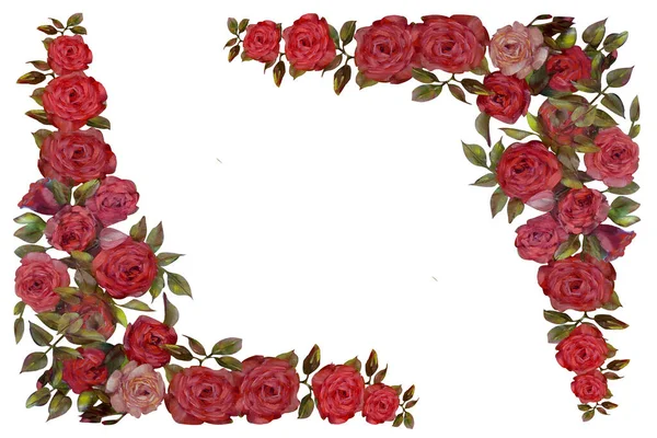 Květinový Rám Olej Růžových Růží Květiny Ručně Malované Ilustrace Izolované — Stock fotografie