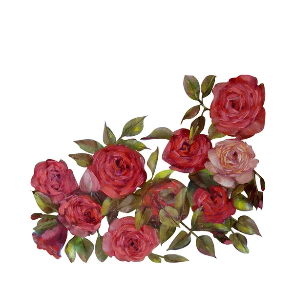 赤いバラの花花油絵花 緑の葉のイラストは白い背景にクローズアップ 手描き 招待状 カード ラベル タグのデザイン — ストック写真