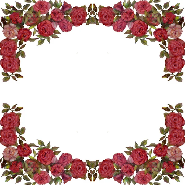 Bloemen Frame Olie Van Roze Rozen Bloemen Handbeschilderde Illustratie Geïsoleerd — Stockfoto