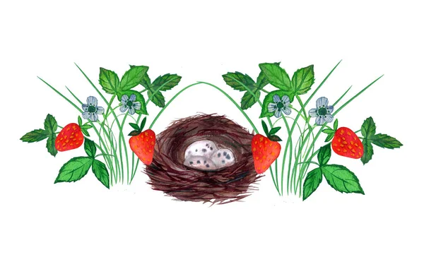 Ώριμος Κόκκινος Θάμνος Φράουλας Πράσινα Φύλλα Και Χρώματα Φωλιά Πουλιών — Φωτογραφία Αρχείου