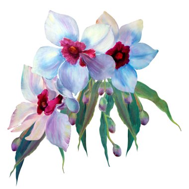 Orkide çiçekleri. Beyaz arkaplandaki izole botanik çizimleri: tek çiçek, orkide dalı, dostum. El çizimi nesneler. Düğün davetiyesi için resim, tebrik kartı, posterler..