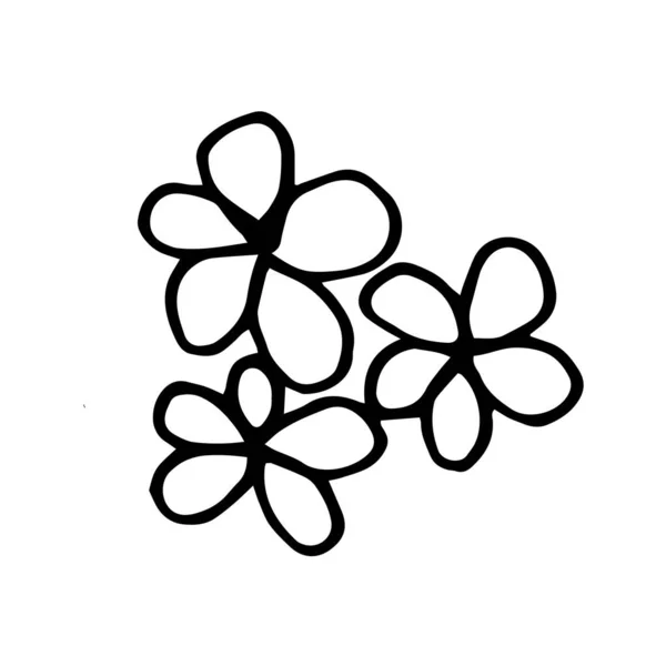 Kleurrijk Zwart Wit Patroon Voor Het Kleuren Daisy Bloem Illustratie — Stockvector