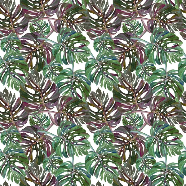 熱帯の葉の怪物と美しいシームレスな花のパターン夏の背景 ウェブページの背景 表面のテクスチャ 織物に最適です — ストック写真