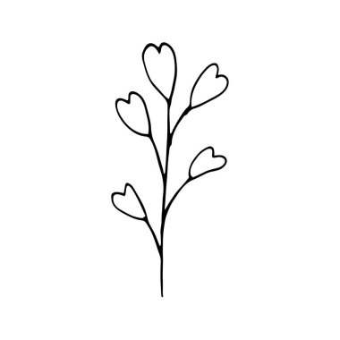 Sevimli tek el bitkisel elementler çizmiş. Beyaz arka planda izole edilmiş. Düğün tasarımı, logosu ve tebrik kartı için Doodle vektör çizimi.