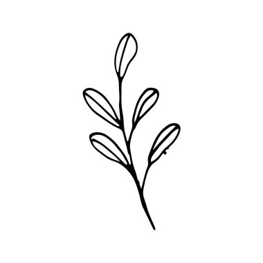 Sevimli tek el bitkisel elementler çizmiş. Beyaz arka planda izole edilmiş. Düğün tasarımı, logosu ve tebrik kartı için Doodle vektör çizimi.