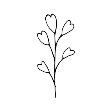 Sevimli tek el bitkisel elementler çizmiş. Beyaz arka planda izole edilmiş. Düğün tasarımı, logosu ve tebrik kartı için Doodle vektör çizimi.