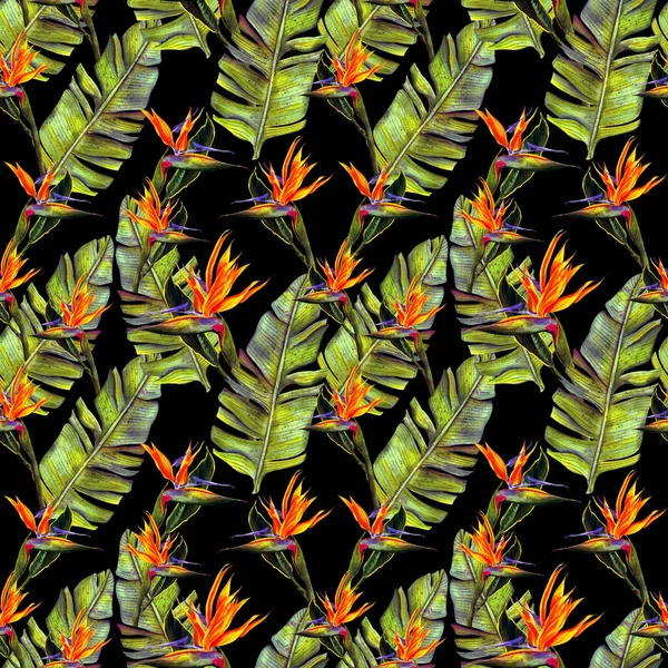 Funny Seamless Wallpaper Wallpaper Tropical Green Palm Leaves Strelitzia Flowers — Stock Photo, Image