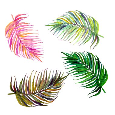 Tropikal yapraklar. Orman, botanik suluboya çizimler, çiçek elementleri, palmiye yaprakları. Tropikal, aloha egzotik yapraklar Duvar kağıdı, tekstil, kumaş, ofis malzemeleri, çıkartmalar.