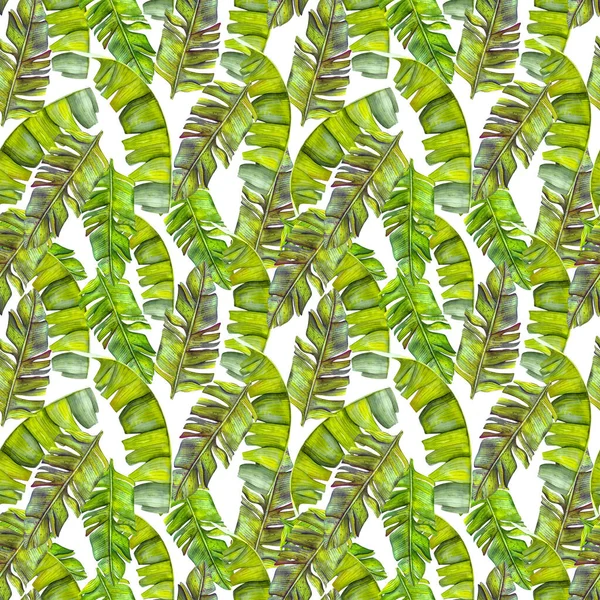 Seamless Exotic Pattern Tropical Banana Leaves Vintage Style Jungle Botanical — Stock Photo, Image
