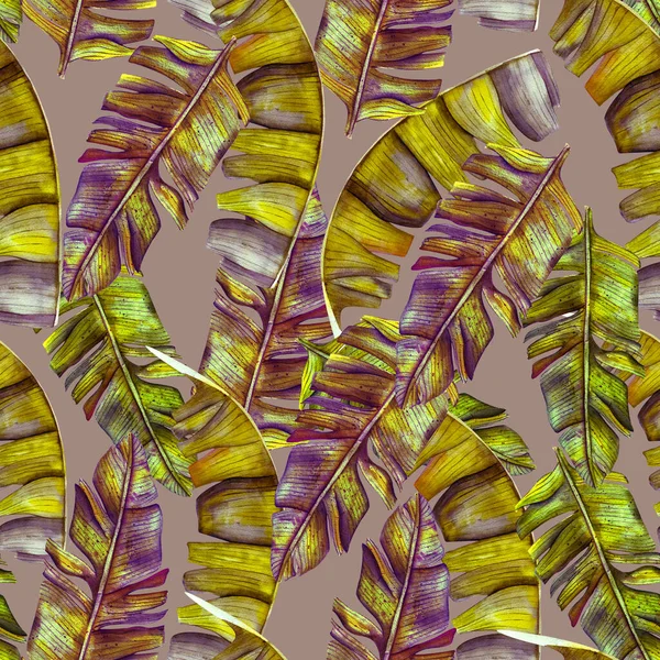 Seamless Exotic Pattern Tropical Banana Leaves Vintage Style Jungle Botanical — Stock Photo, Image