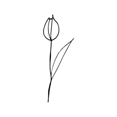 Renkler için renkli siyah beyaz desenler. Papatya çiçeği çizimi. Çocuklar ve yetişkinler için boyama sayfaları. Vektör görüntüsü. Düğün dekorasyonu. Devre.