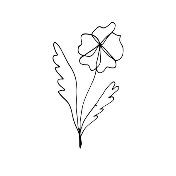 Padrão Preto Branco Colorido Para Colorir Daisy Ilustração Flor Desenhos — Vetor de Stock