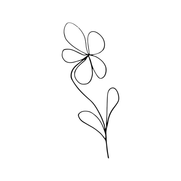 Padrão Preto Branco Colorido Para Colorir Daisy Ilustração Flor Desenhos — Vetor de Stock