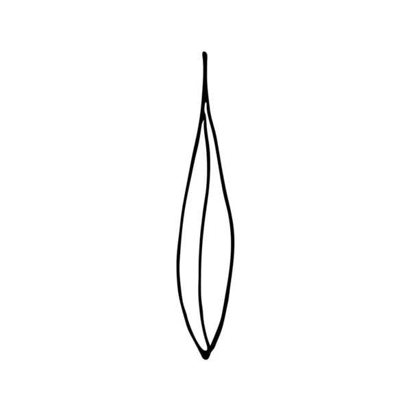 Černobílý List Rostliny Ručně Kreslený Doodle Styl Dekorativní Prvky Pro — Stockový vektor