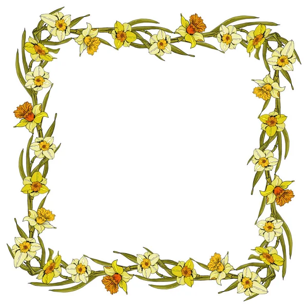 Eleganti Sfondi Floreali Con Narciso Fiore Giardino Verde Delicato Cornice — Vettoriale Stock