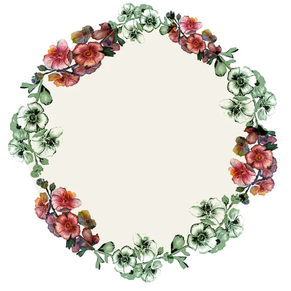 Moldura Linda Rosa Florescendo Realista Flores Isoladas Fundo Vintage Camomila — Fotografia de Stock