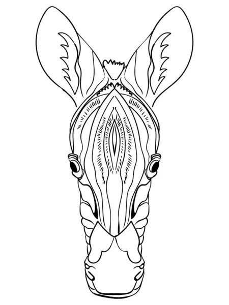Zebra Afrika Nın Hayvanları Vektör Illüstrasyon Zebra Kafası Yetişkin Stres — Stok Vektör