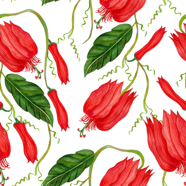 Pola Mulus Bunga Merah Gairah Lukisan Warna Air Bunga Tropis — Stok Foto