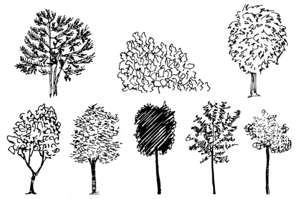 Silhouettes Arbres Cultures Jardin Parc Illustration Vectorielle Noir Blanc Isolé — Image vectorielle