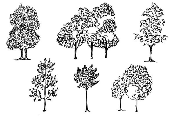Silhuetas Árvores Culturas Jardim Parque Ilustração Vetorial Preto Branco Isolado —  Vetores de Stock